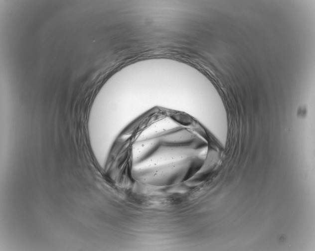 X0000093120617200710241304