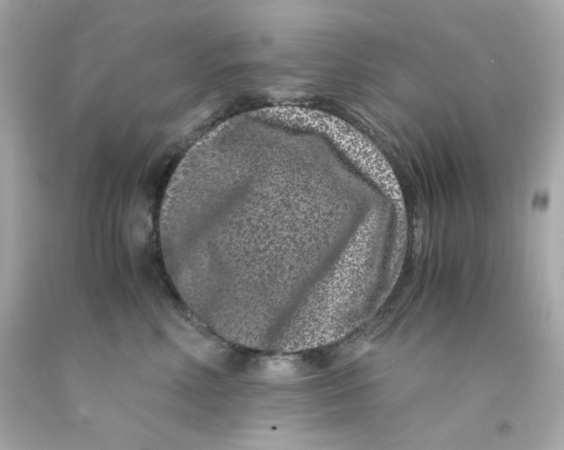 X0000093120618200710241304