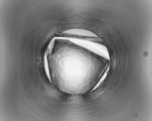 X0000093120619200710241304