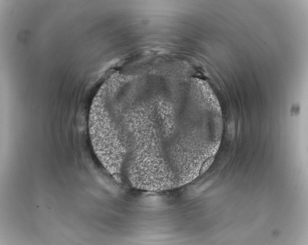 X0000093120620200710241304