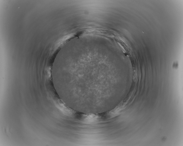 X0000093120621200710241304
