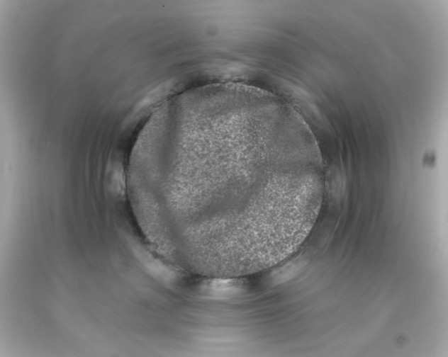 X0000093120622200710241304