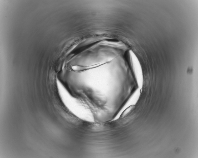 X0000093120623200710241304