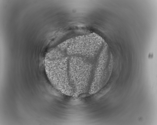 X0000093120624200710241304