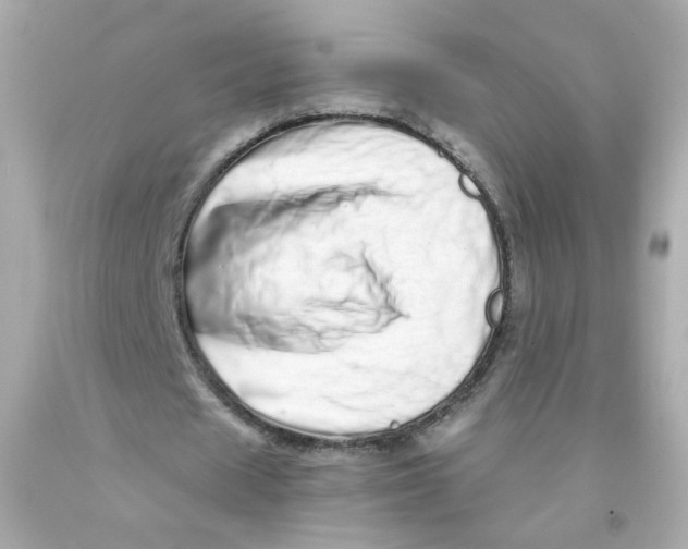 X0000093120625200710241303
