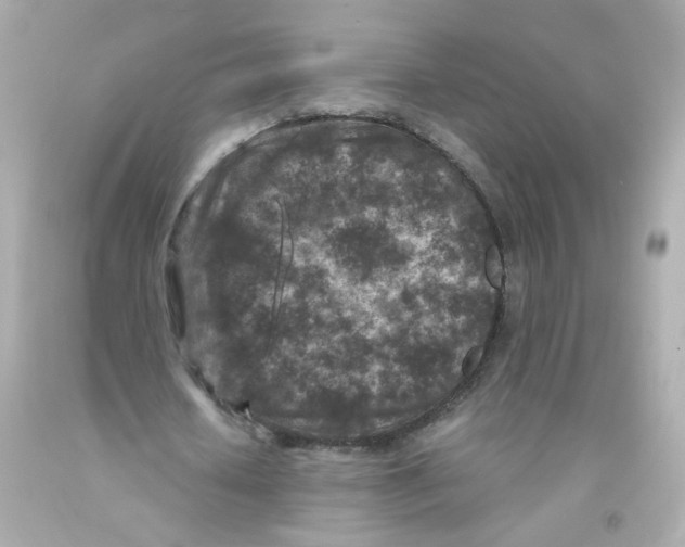 X0000093120626200710241303