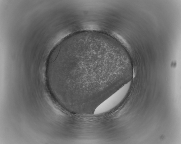 X0000093120627200710241303
