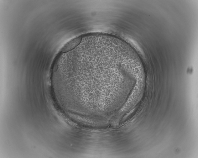 X0000093120628200710241303