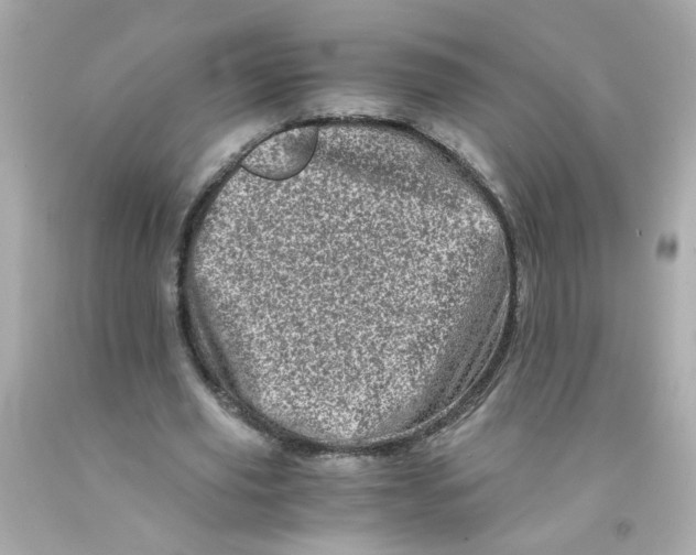 X0000093120629200710241303