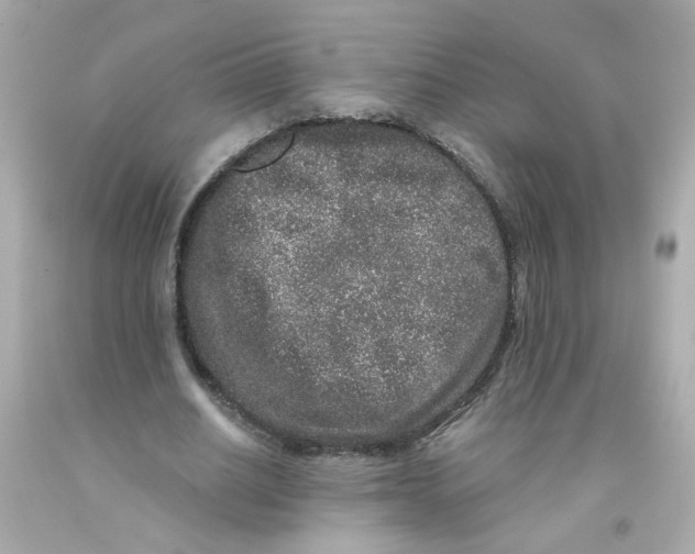 X0000093120630200710241303