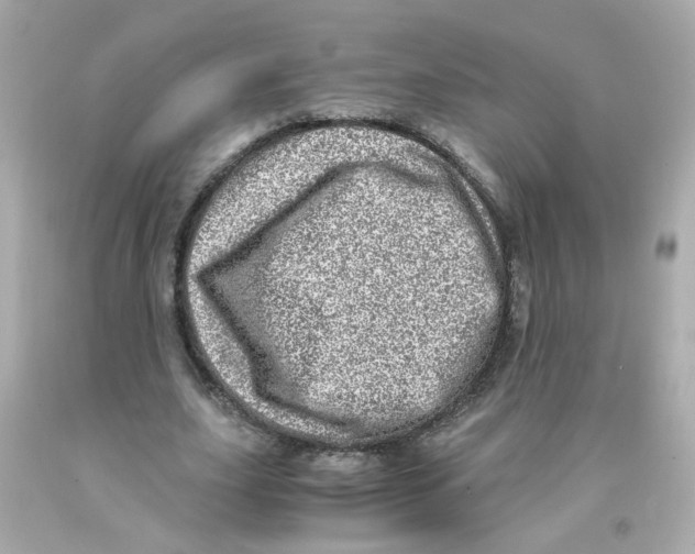 X0000093120631200710241303