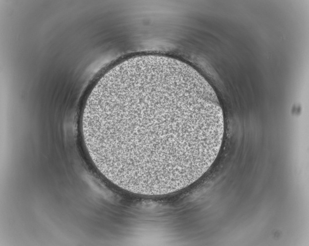 X0000093120632200710241303