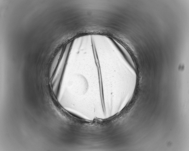 X0000093120633200710241303