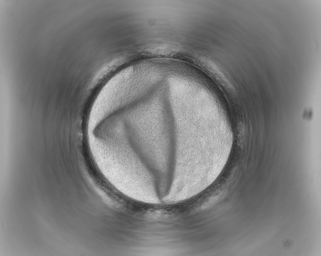 X0000093120634200710241303