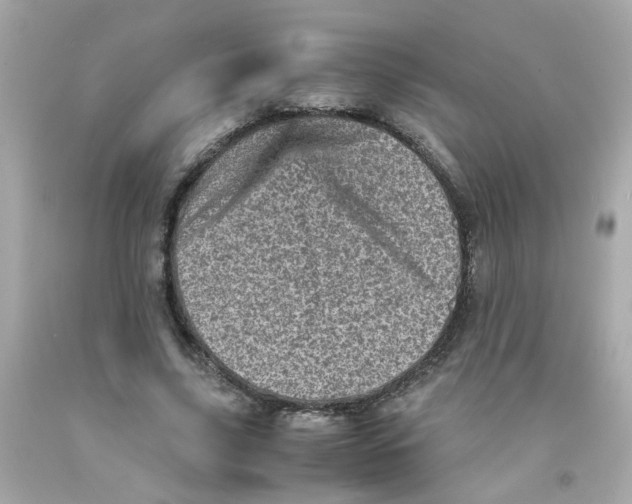 X0000093120635200710241303