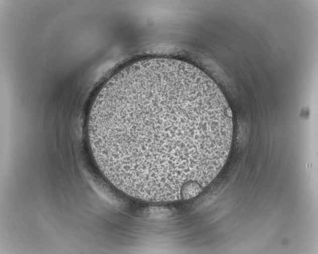 X0000093120636200710241303