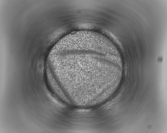 X0000093120637200710241303