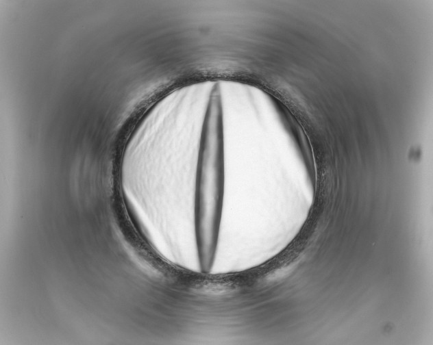 X0000093120638200710241303