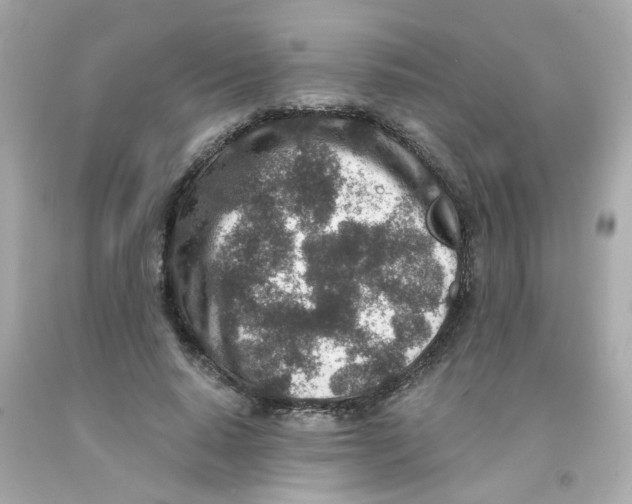 X0000093120640200710241303