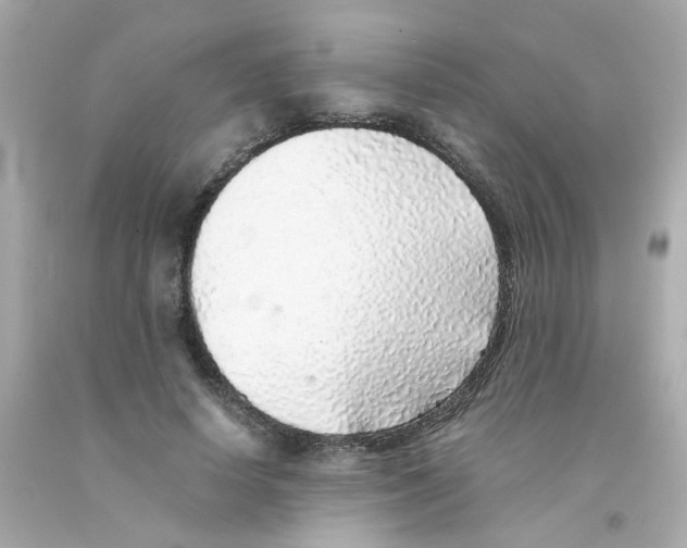 X0000093120642200710241303