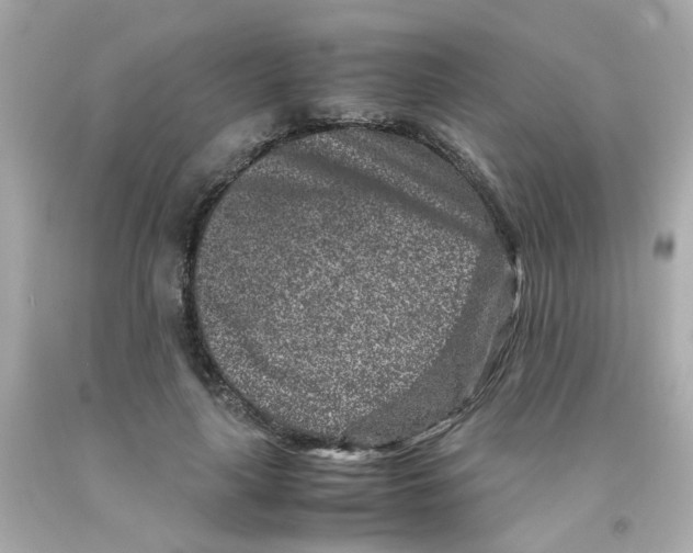 X0000093120643200710241303