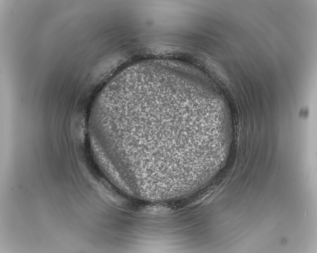 X0000093120644200710241303
