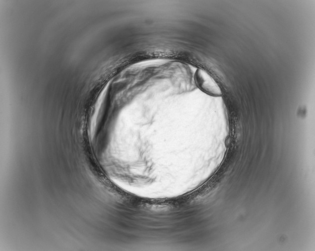 X0000093120645200710241303