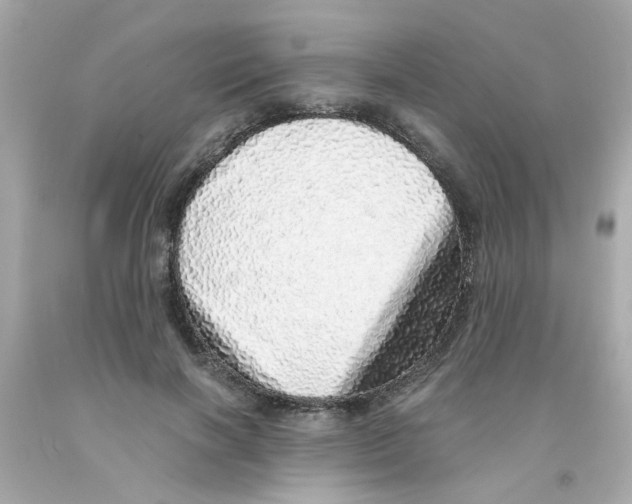 X0000093120646200710241303