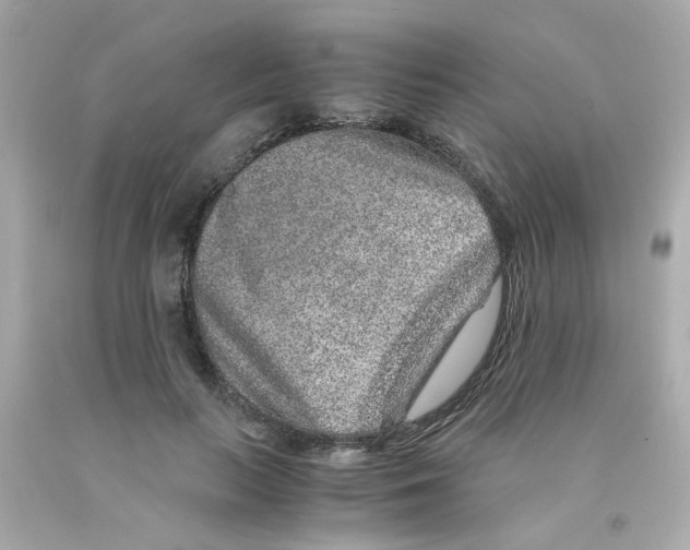 X0000093120647200710241303
