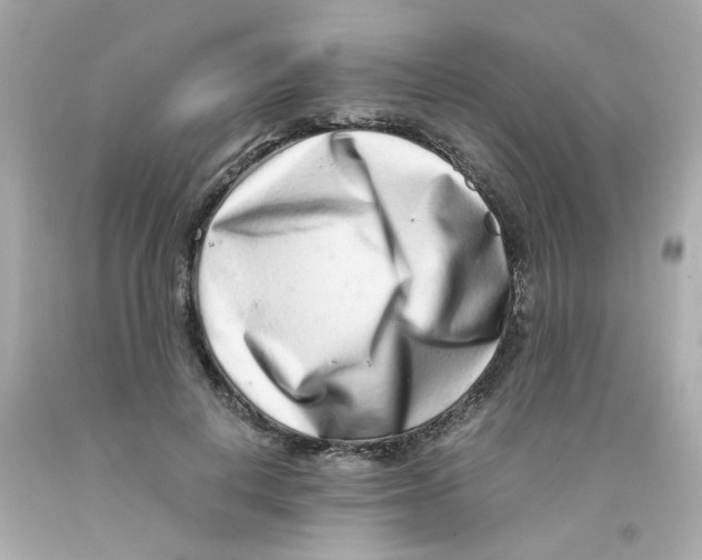 X0000093120648200710241303