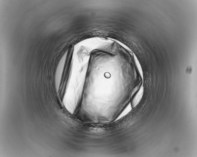 X0000093120649200710241303