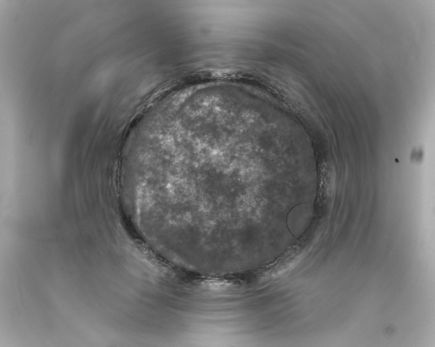 X0000093120650200710241303
