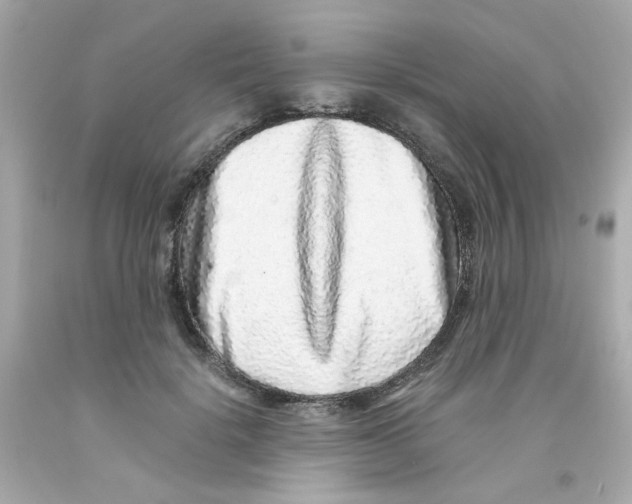 X0000093120652200710241303