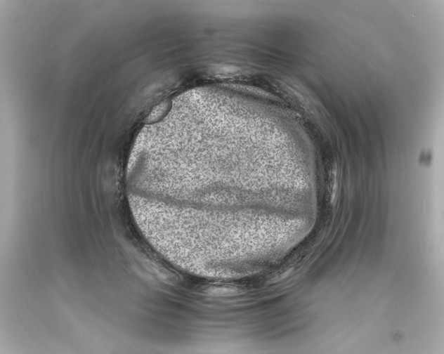 X0000093120653200710241303