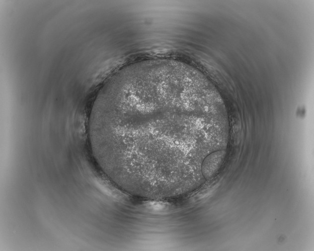 X0000093120654200710241303