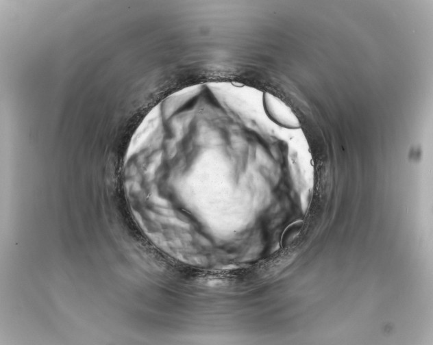 X0000093120655200710241303