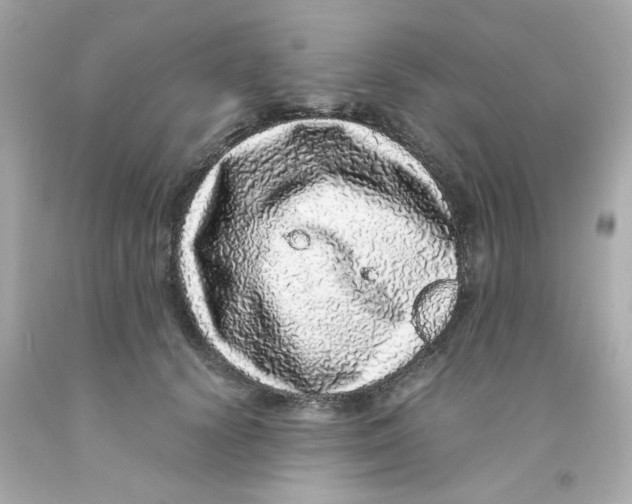 X0000093120656200710241303