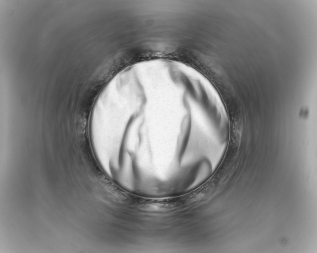 X0000093120657200710241303