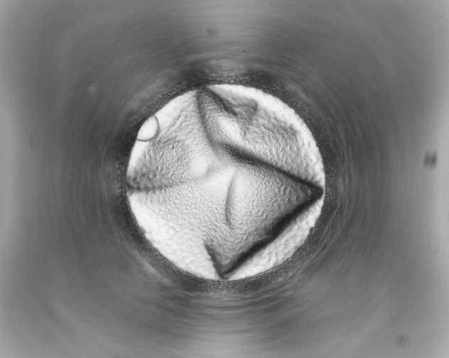 X0000093120658200710241303