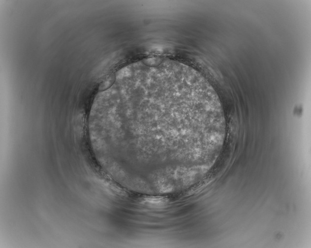 X0000093120659200710241303