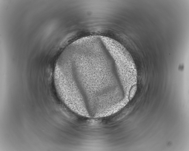 X0000093120660200710241303