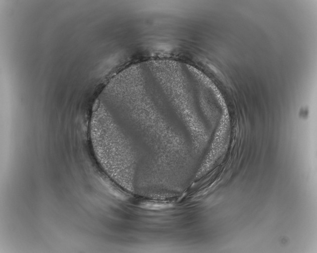 X0000093120661200710241303