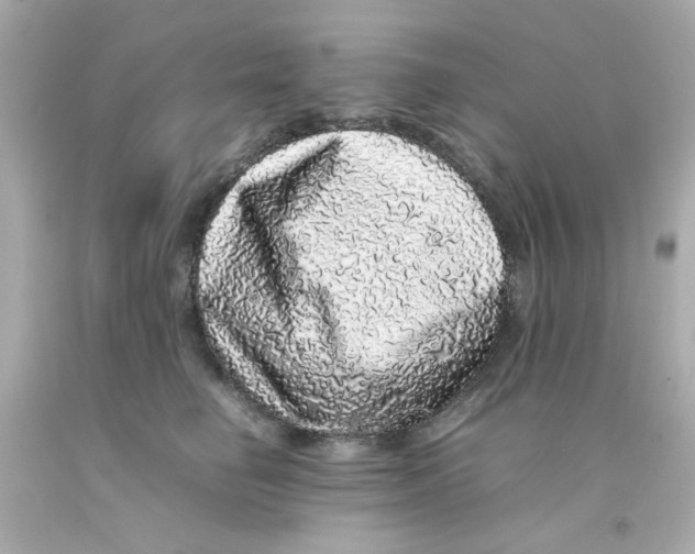 X0000093120662200710241303