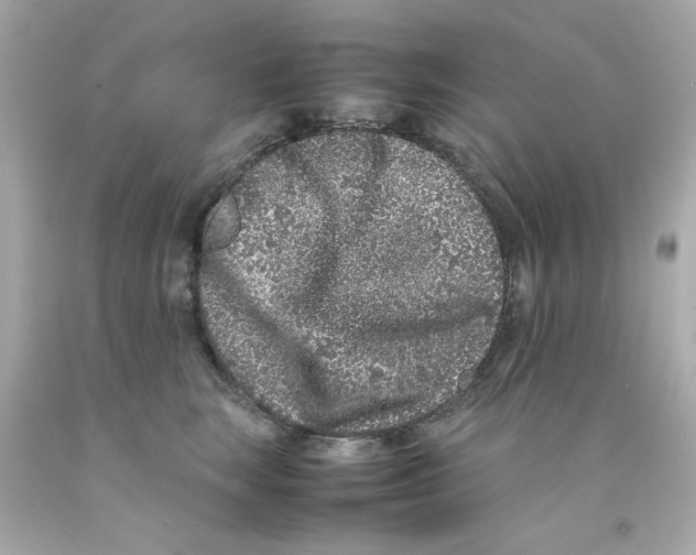 X0000093120663200710241303