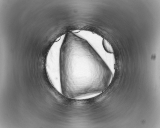 X0000093120664200710241303