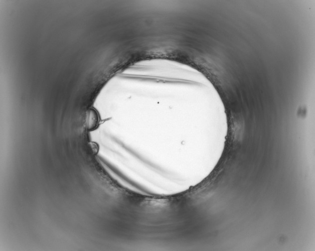 X0000093120665200710241303