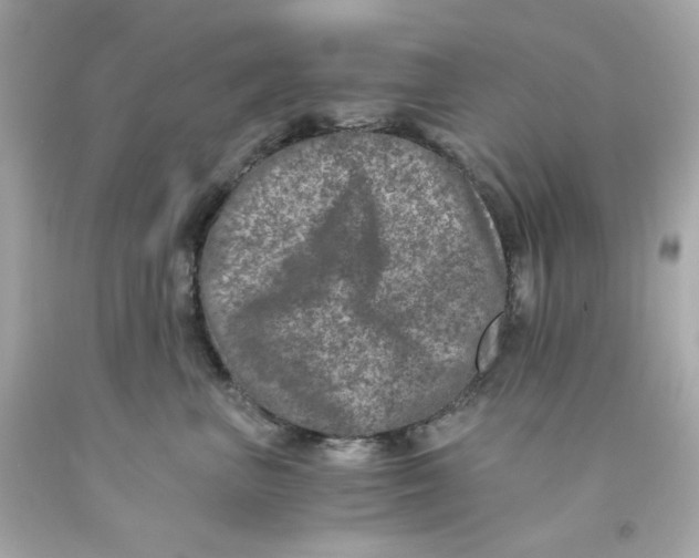 X0000093120667200710241304