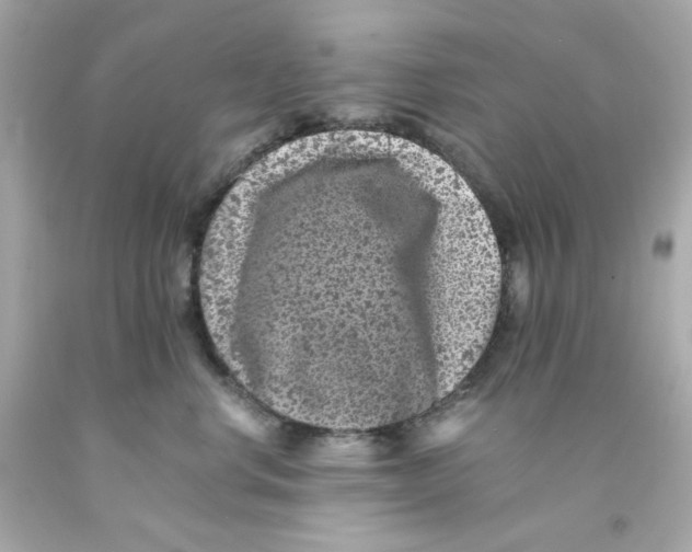 X0000093120668200710241304