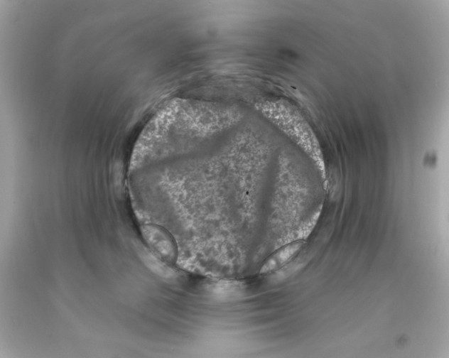 X0000093120670200710241304