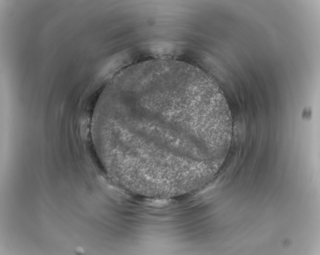 X0000093120671200710241304